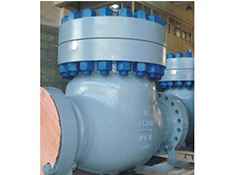 Check Valve