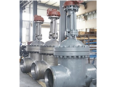 Gate Valve