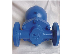 Steam Trap