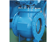 Plug Valve