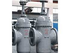 Through Conduit Gate Valve