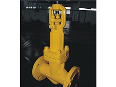 Globe Valve