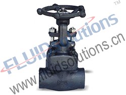 API602-Forged-Steel-Threaded-Socket-Welding-Gate-Valve-800