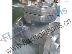 Stainless Steel Check Valve