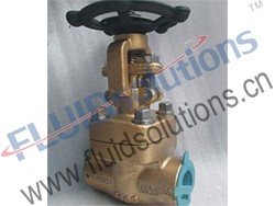 Bronze Globe Valve