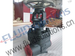 Forged Steel Globe Valve