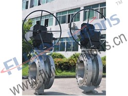 Flange High Performance Butterfly Valve