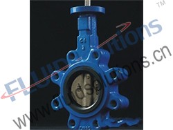 Lug Concentric Butterfly Valve