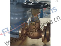 Marine Bronze Globe Valve