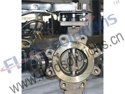 Marine Bronze Butterfly Valve